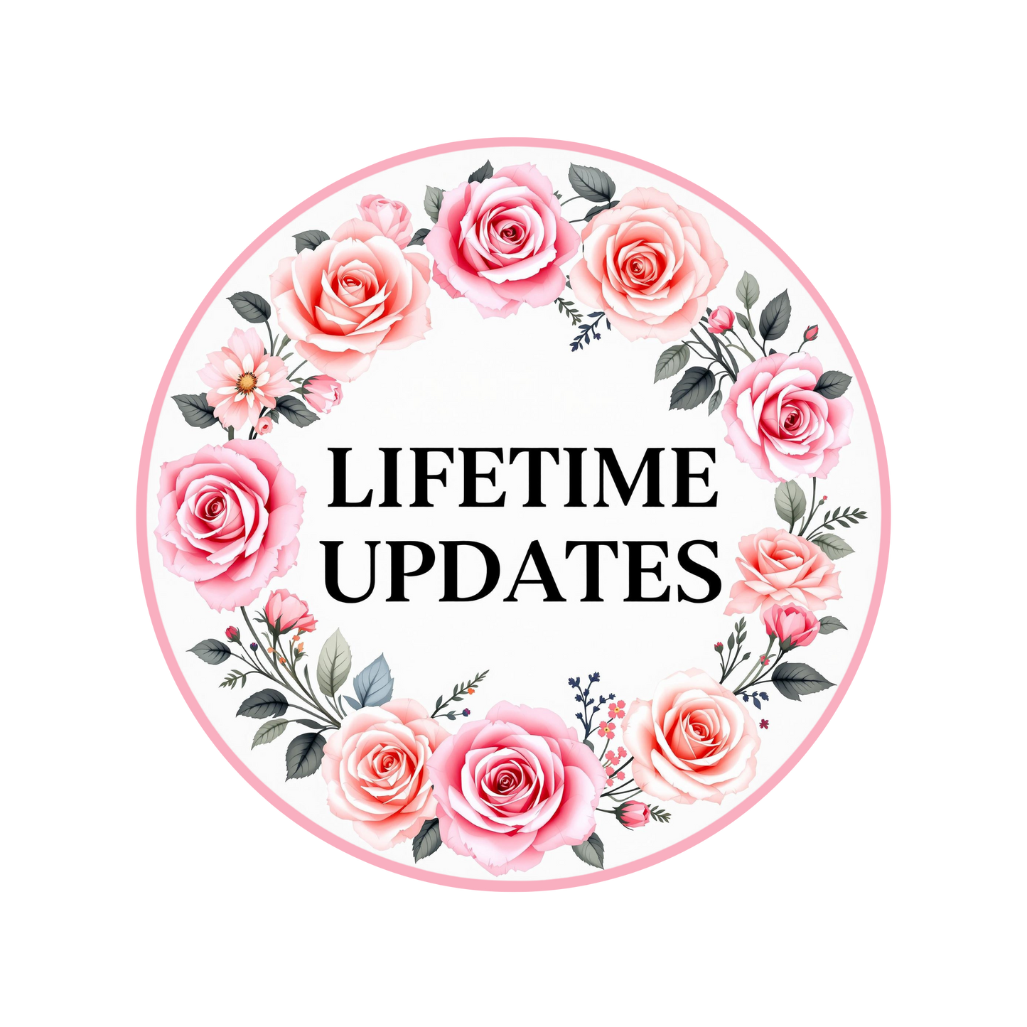 Lifetime Updates